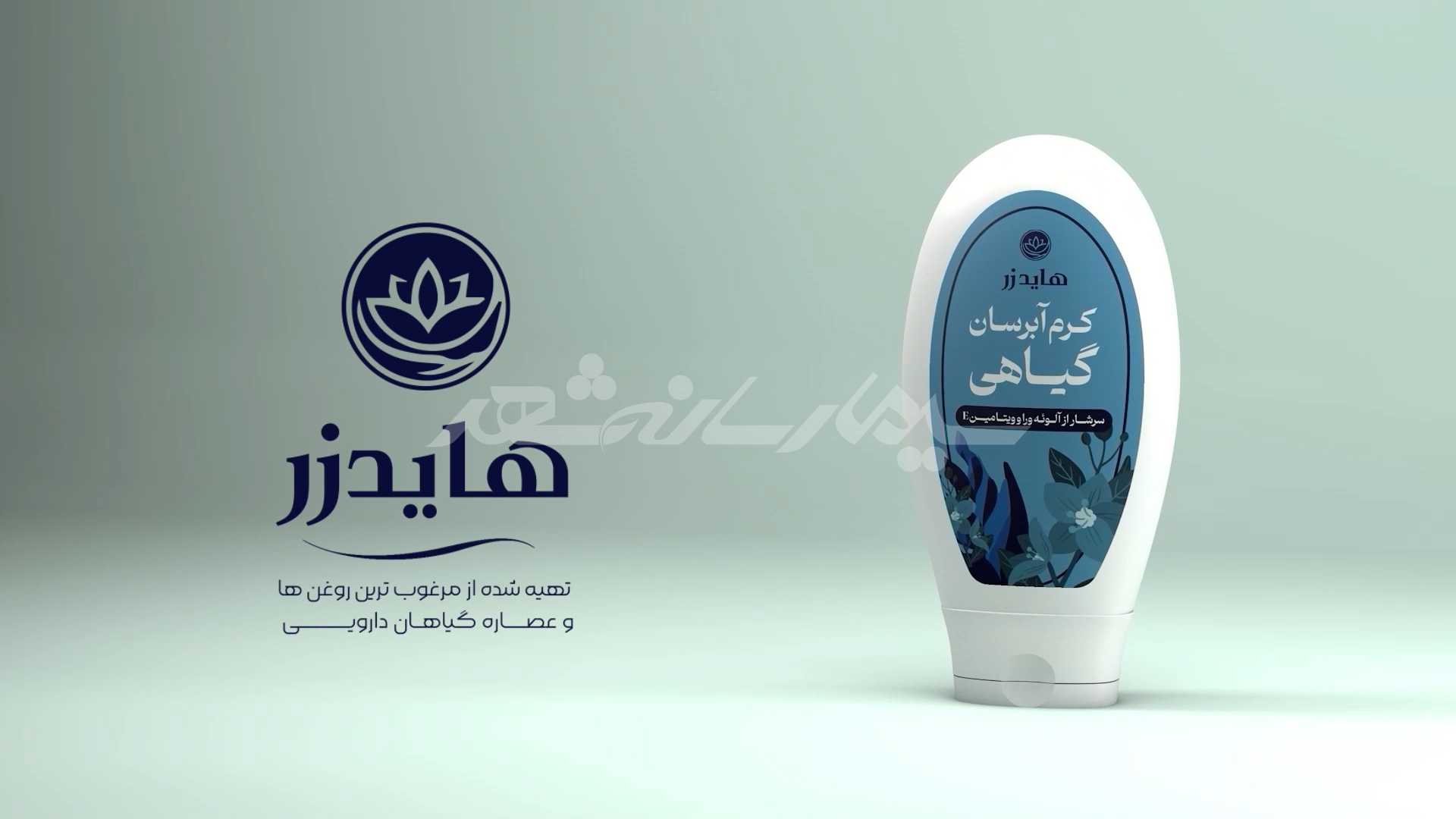 هایدزر